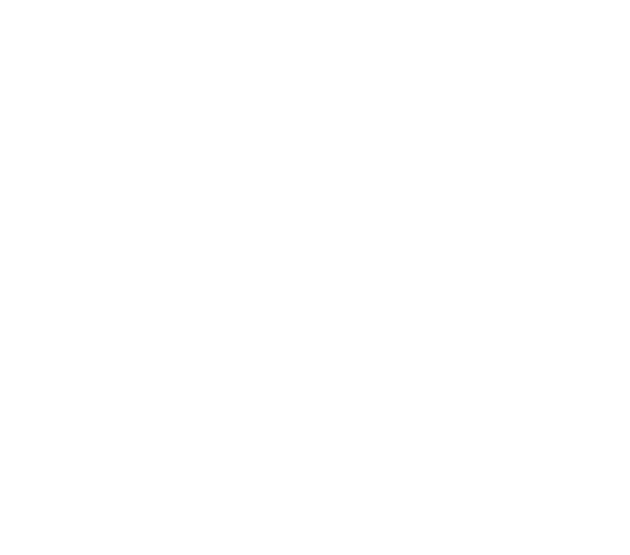 logo erasmus+ blanco